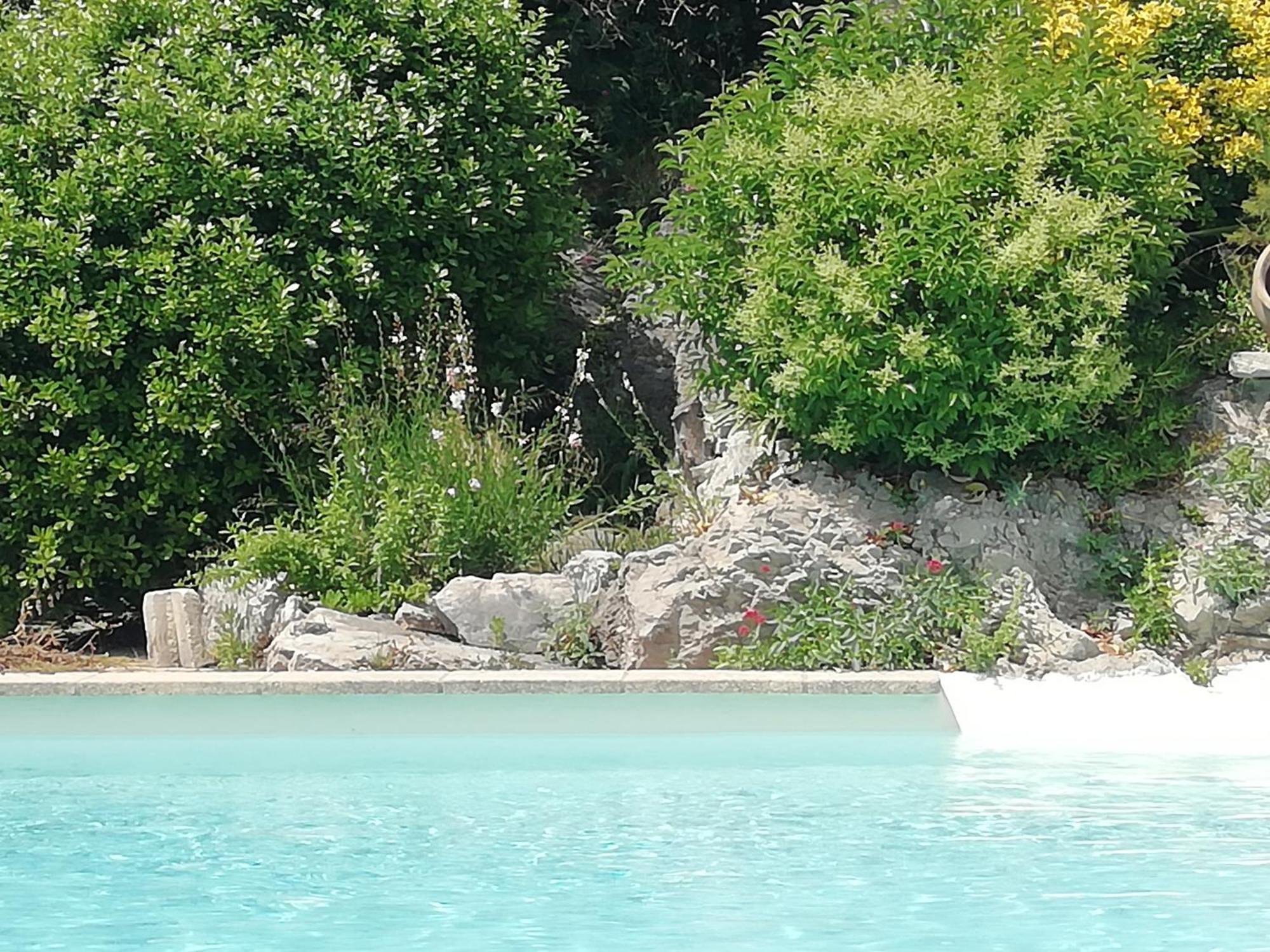Mazet Des Artistes Villa Mouries Dış mekan fotoğraf
